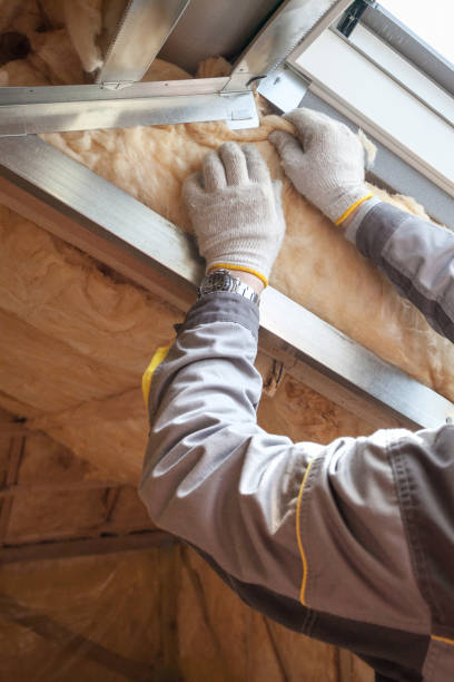 Best Types of Insulation in South Rockwood, MI
