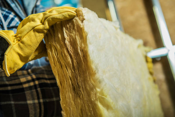 Best Insulation Installation Services in South Rockwood, MI