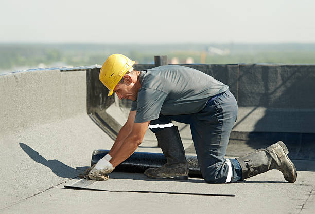Best Residential Insulation in South Rockwood, MI