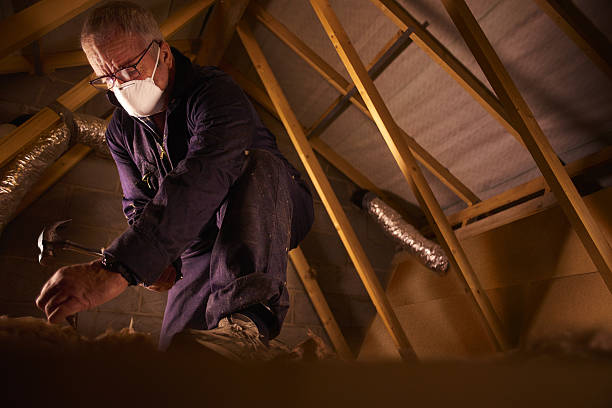  South Rockwood, MI Insulation Contractor Pros
